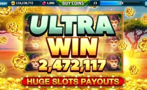 2444bet